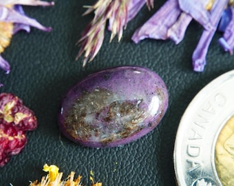 Oval Canadian Corundum Cabochon