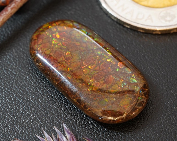 Oval Ammolite Cabochon