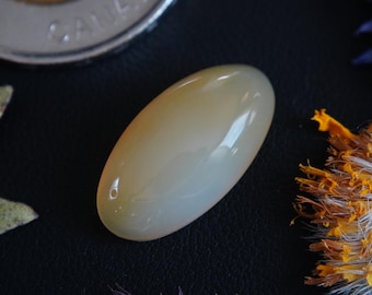 Oval Canadian Honey Agate Cabochon