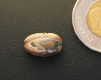 Oval Canadian Orbicular-Polychrome Jasper Cabochon