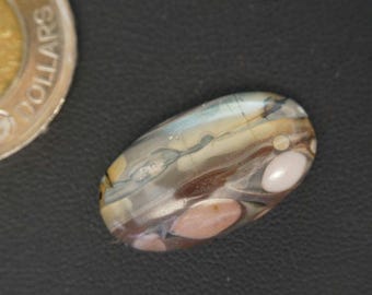 Oval Canadian Orbicular-Polychrome Jasper Cabochon