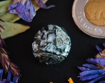 Round Canadian Dallasite Cabochon