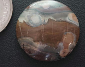Round Canadian Orbicular-Polychrome Jasper Cabochon