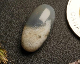 Oval Canada Moss Agate Cabochon