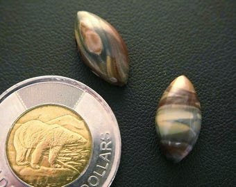 Pair of Marquise Cut Canadian Polychrome Jasper Cabochons