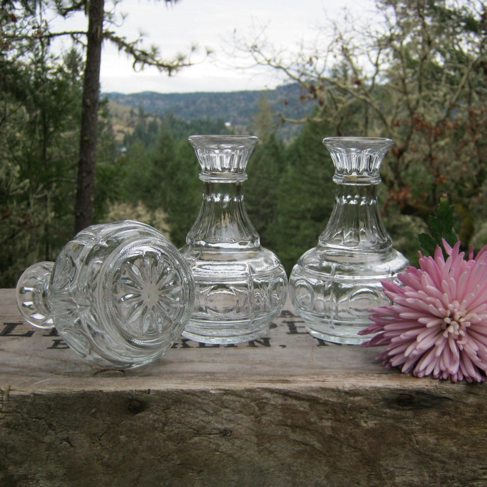 Trio of Clear Glass Pot Belly Bud Vases Circle Pattern Etsy