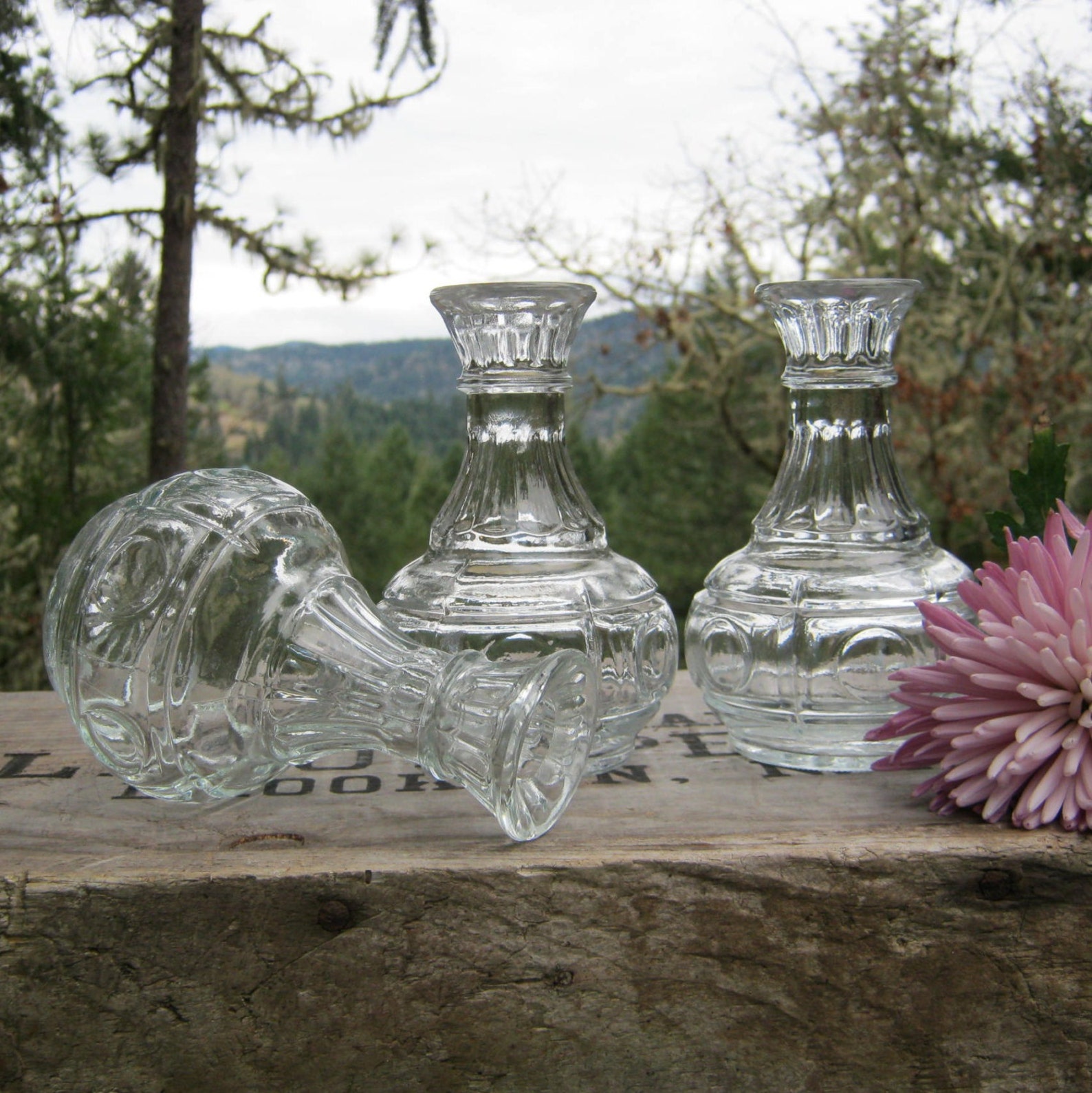 Trio of Clear Glass Pot Belly Bud Vases Circle Pattern Etsy