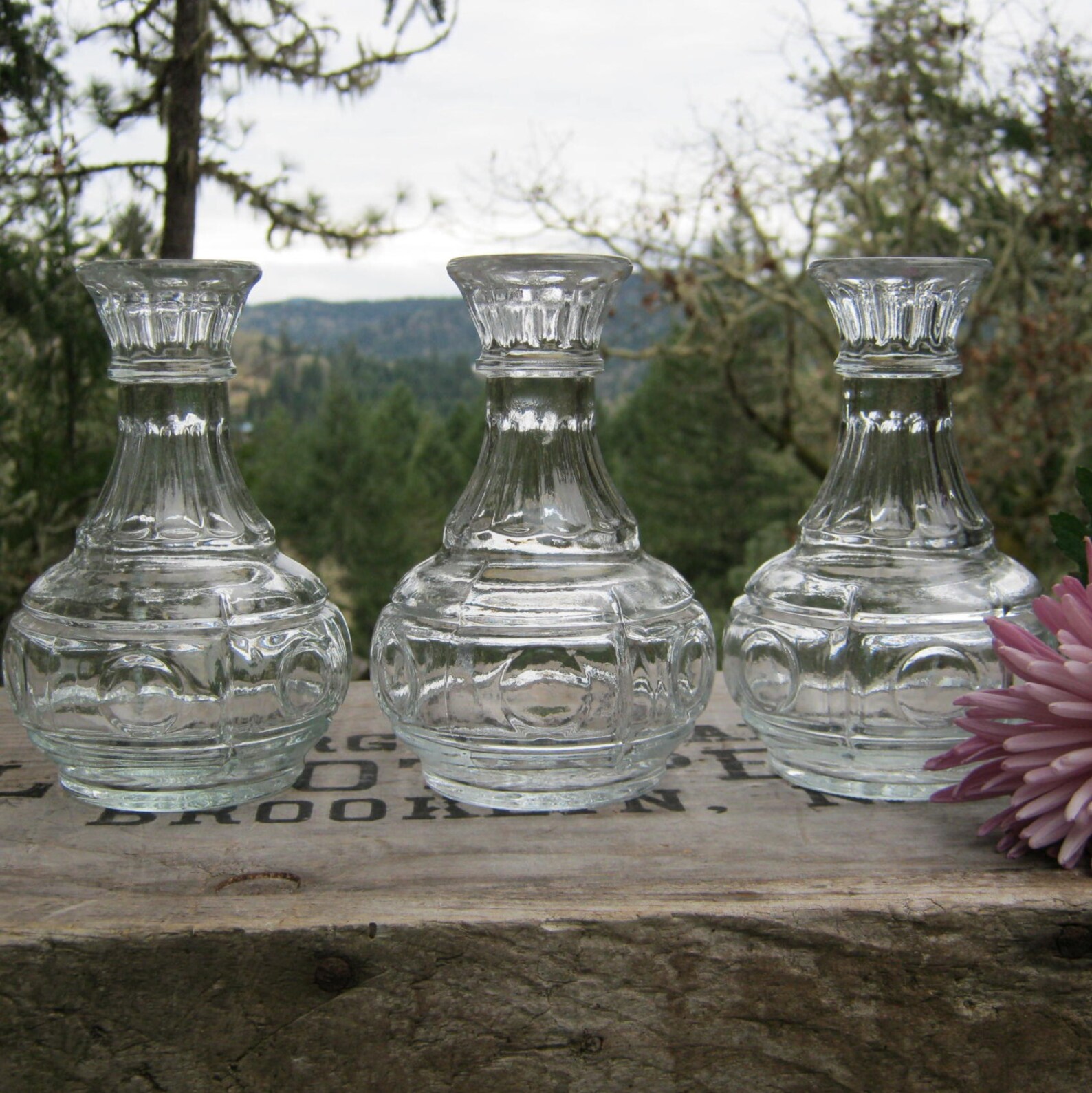 Trio of Clear Glass Pot Belly Bud Vases Circle Pattern Etsy