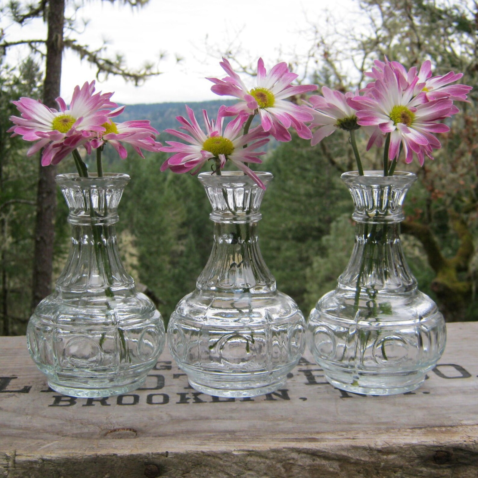 Trio of Clear Glass Pot Belly Bud Vases Circle Pattern Etsy