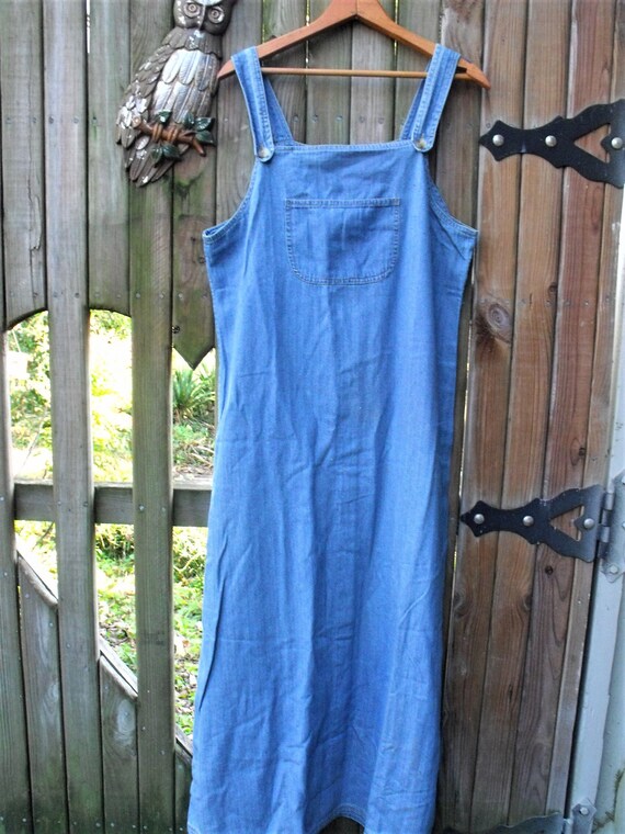 denim overall jumper dress