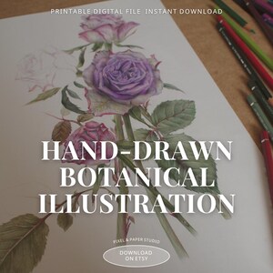 Rose druckbare Kunst - botanische Bleistiftzeichnung - Vintage Blumen Poster - digitaler Download Kunstwerk - romantische Rose Wohnkultur