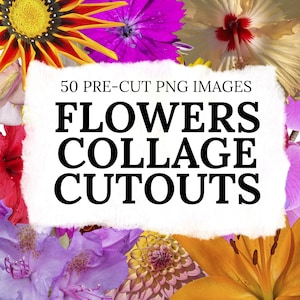 Blumen Collage Cutouts - 50 vorgeschnittene PNG-Bilder, Digitale Dateien, Digitale Collage, Vintage, Natur, ideal für Photoshop, Canva, ProCreate