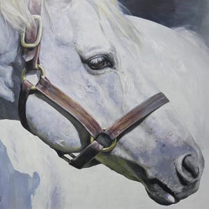White Horse Portrait Oil Painting | Serene Equestrian Artwork | Original 20x30 inch Canvas | Hand-Painted Horse Art | Calm Animal Painting