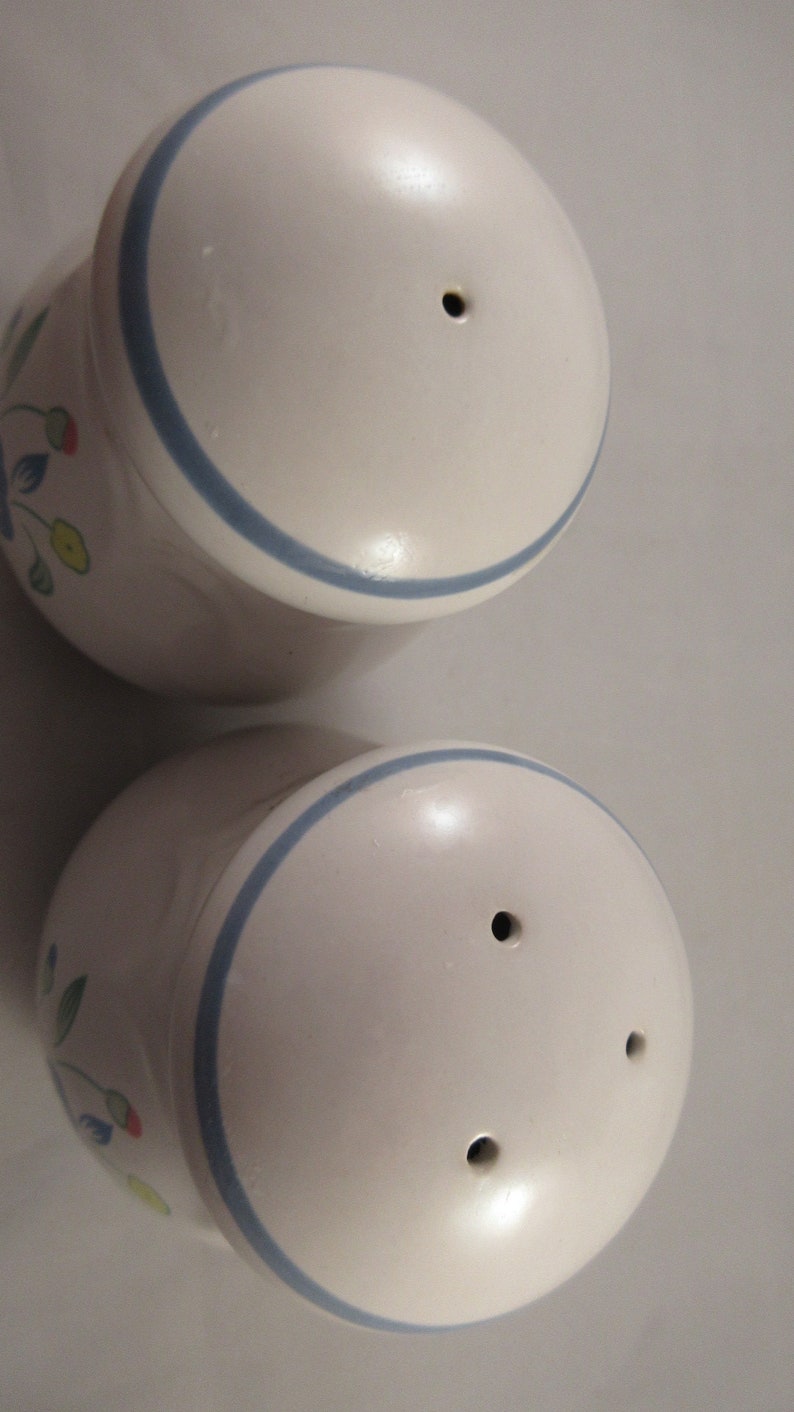 Floral Expressions Stoneware Salt and Pepper Shakers Japan