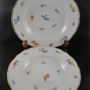 Tirschenreuth Bavaria Three (3) Shallow Bowls Floral Pattern