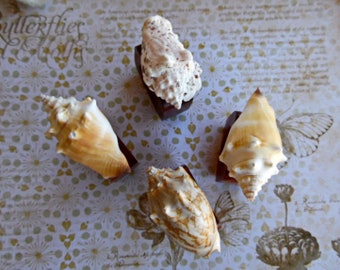 Indian Wood Seashell Shell Napkin Ring Hand Cut Hardwood Party Table Decor Conch Ocean Birthday Gift
