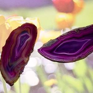 May include: Two purple agate slices with white and orange banding. The agate slices are smooth and polished.