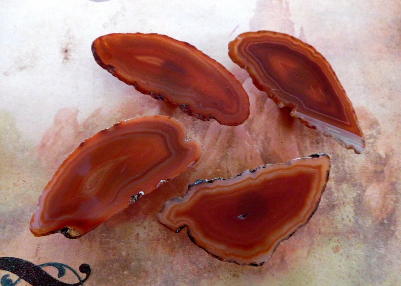 May include: Four agate slices with brown and orange banding. The slices are smooth and polished.