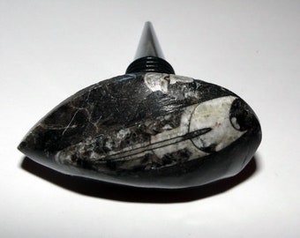 Wine Bottle Stopper Large Orthoceras Fossil Barware