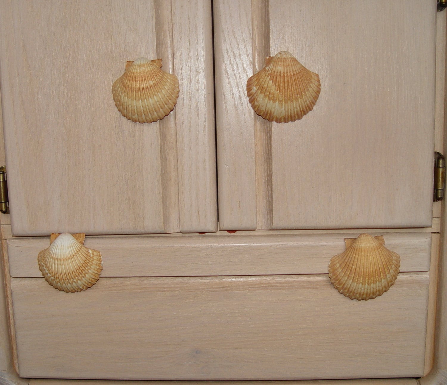 Custom Sea Shell Drawer Pulls Knobs