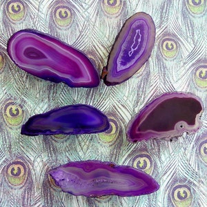 May include: Four purple agate slices with different patterns and shades of purple. The agate slices are arranged on a background with a peacock feather pattern.