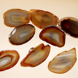 May include: Seven agate slices in various shapes and sizes, with brown, white, and gray banding. The agate slices are smooth and polished.