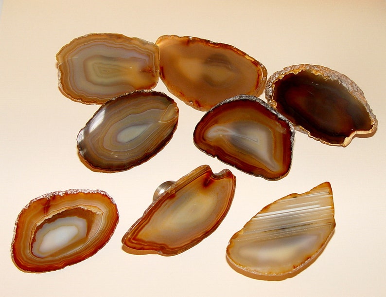 May include: Seven agate slices in various shapes and sizes, with brown, white and grey banding. The agate slices are smooth and polished.