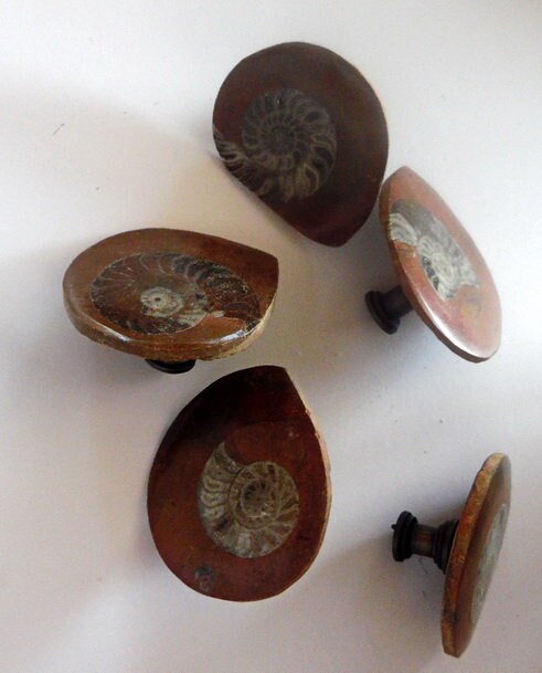 Large Button Ammonites Fossil Drawer Pulls Hardware Knobs Cabinet