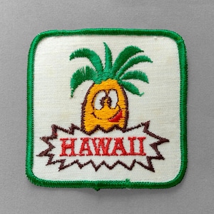 May include: Embroidered patch featuring a smiling pineapple with green leaves and a red tongue. The word "HAWAII" is displayed in red letters within a brown jagged banner, all on a white background with a green border.