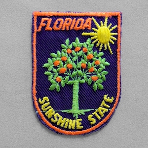 Used Vintage Florida Patch 2.75", Sunshine State Collectible, Orlando Memorabilia, Daytona Travel, Sarasota, Orange Tree, Key West