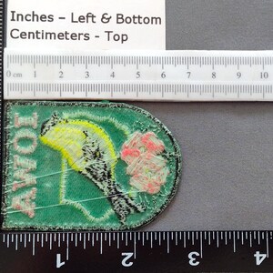 Used Vintage Iowa Patch 2.6", Embroidered Wild Rose, American Goldfinch, State Travel Souvenir, Des Moines, Cedar Rapids image 4