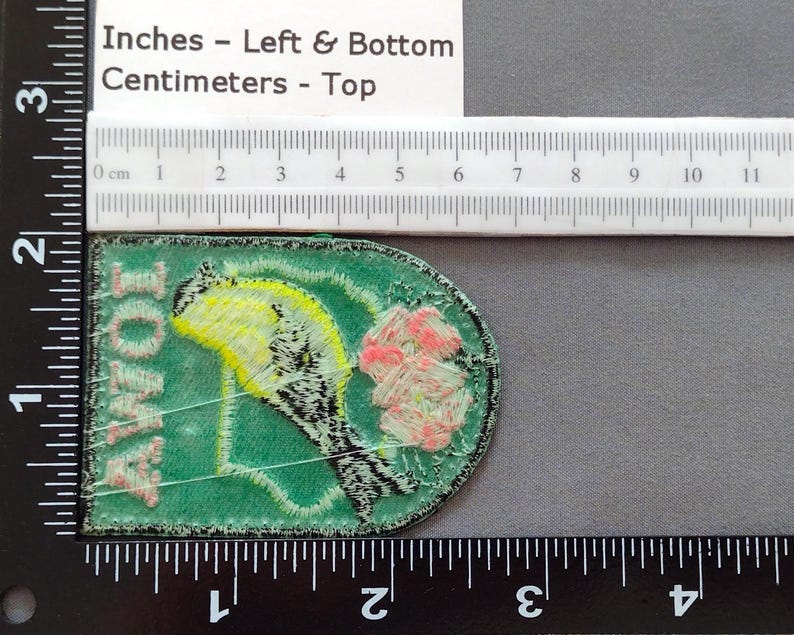 Used Vintage Iowa Patch 2.6", Embroidered Wild Rose, American Goldfinch, State Travel Souvenir, Des Moines, Cedar Rapids image 4