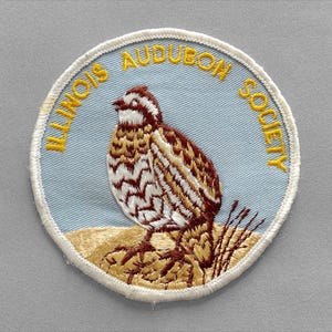 May include: A circular embroidered patch featuring a light blue background with a brown and white bird standing on a tan ground. The text ILLINOIS AUDUBON SOCIETY is stitched in yellow letters along the top edge, bordered by a white stitched rim.