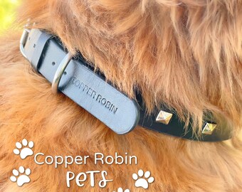 Leder Hundehalsband Mit Nieten – Für Kleine & Mittelgroße Hunde, 5-fach Verstellbar, Mit D-Ring