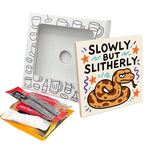 Slowly But Slitherly Coaster Gift Pack