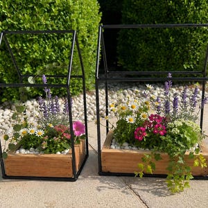 Può includere: Due fioriere a forma di casa con telai in metallo nero e basi rettangolari in legno. Ogni fioriera contiene una varietà di fiori colorati, tra cui lavanda viola, margherite bianche e fiori rosa, accentati con piccole pietre bianche.
