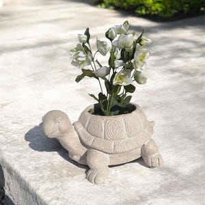 Könnte beinhalten: Ein beigefarbener, schildkrötenförmiger Pflanztopf mit strukturiertem Schalendesign, gefüllt mit weißen Blumen und grünen Stielen. Der Topf besteht aus einem steinähnlichen Material und steht auf einer Steinoberfläche. Die Schildkröte hat ein lächelndes Gesicht.