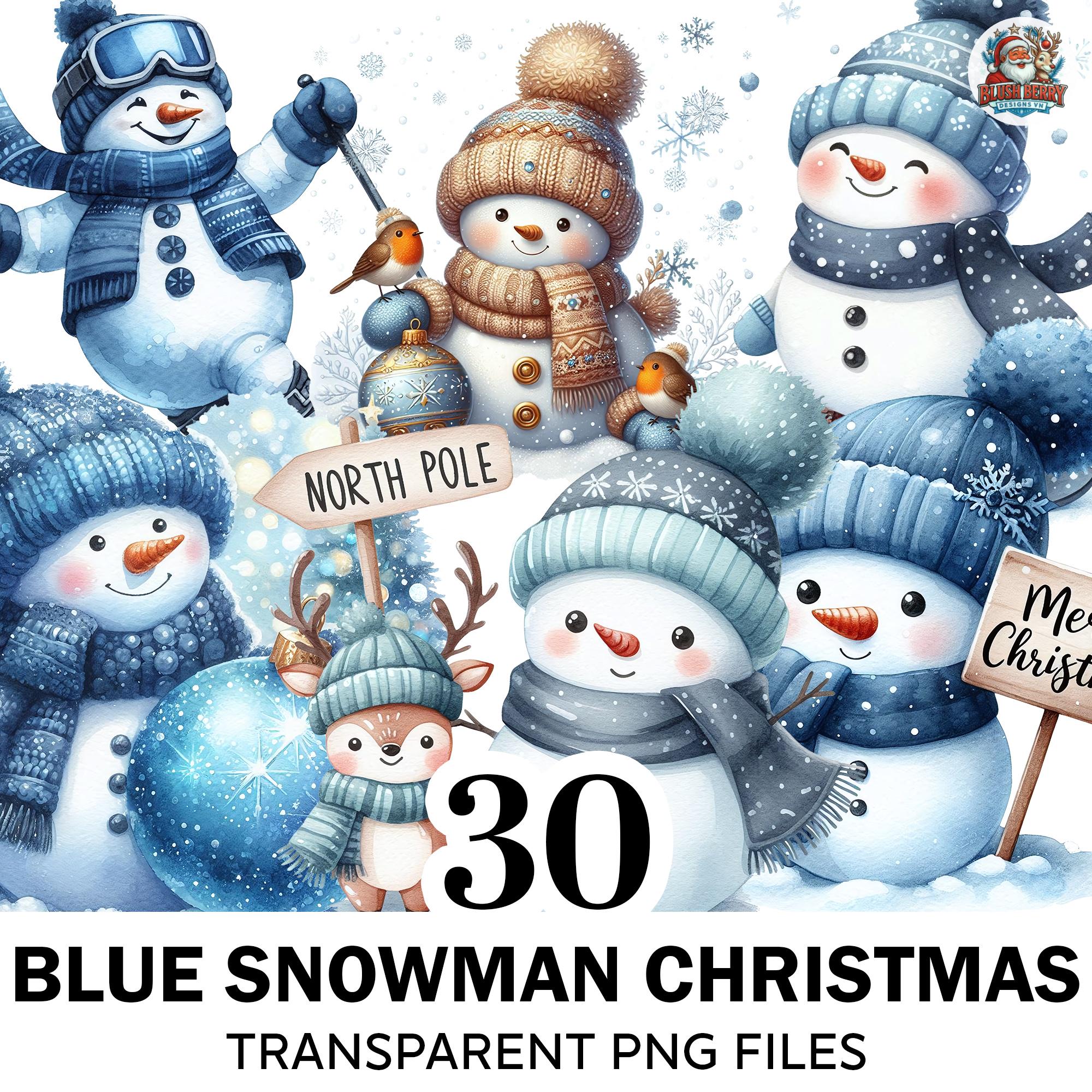 Blue Shine　Snow Man Amazon.com : Alpine Corporation 74