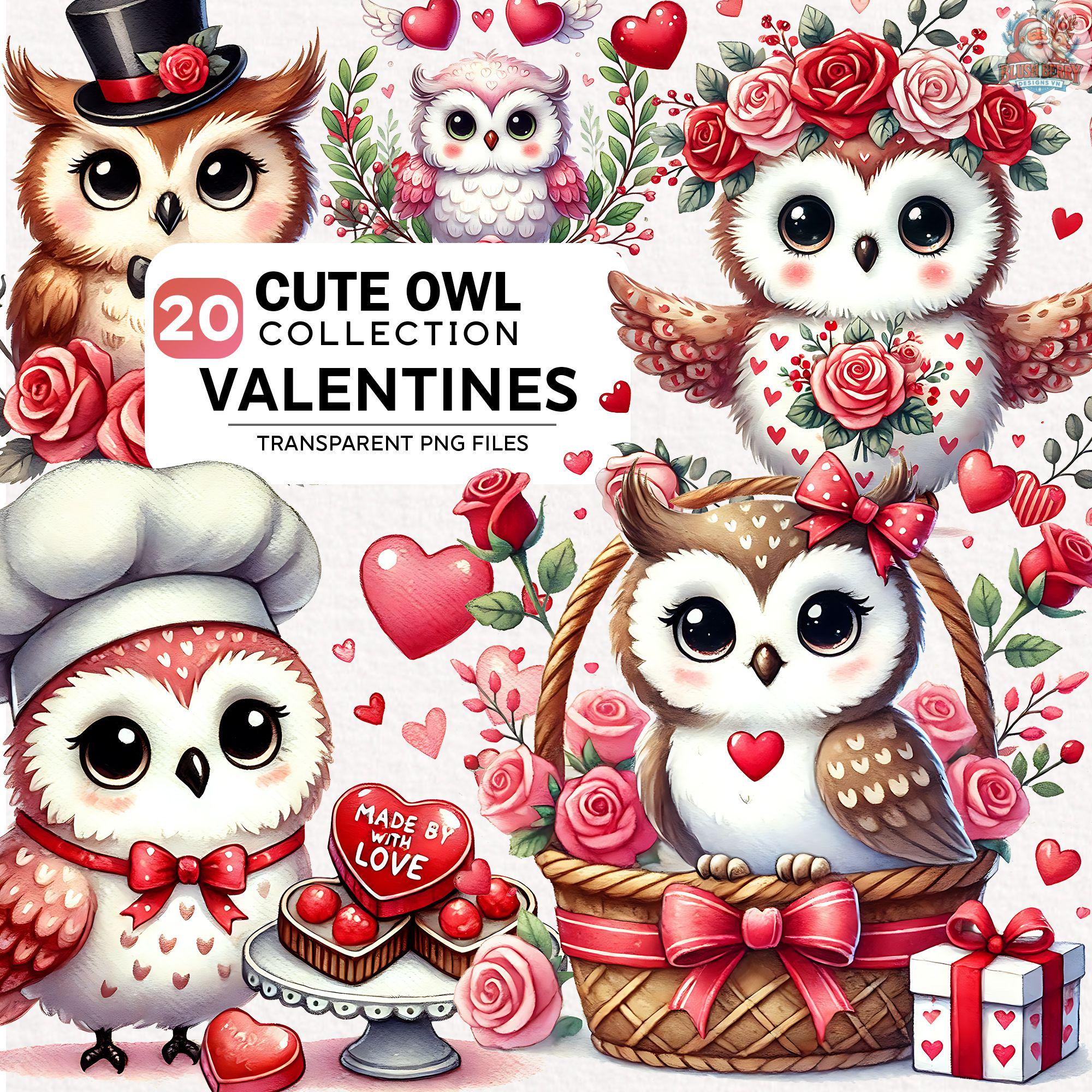 20+ Watercolor Owl Clipart Bundle, Cute Owl Png, Lovely Owl Clipart, Festive Png, Happy Valentine Da