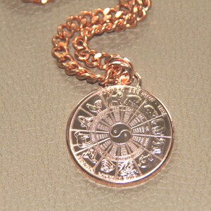 Leo Zodiac Copper Necklace: August Birthday Gift • ZO132 bild 3