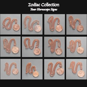 Leo Zodiac Copper Necklace: August Birthday Gift • ZO132 bild 12