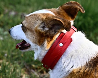 Red Leather Collar for All Breed Dogs, Custom Size Pet Collar, Durable Handmade Dog Collar for Small Medium Large Dogs | 12 Colors Available