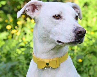 Gelb Leder Schleife Halsband, verstellbares benutzerdefinierte Hundehalsband, kleine Welpe und Kätzchen Halskette, Minimalist Rindsleder Haustier Zubehör