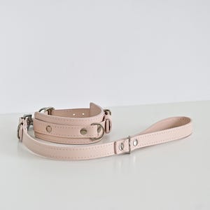 Op de afbeelding: Een lichtroze leren halsband- en riemset. De halsband heeft een gelaagd ontwerp met zilverkleurige metalen hardware, inclusief ringen en klinknagels. De bijpassende riem heeft een handvat en een sluiting. De set is ontworpen voor huisdieren.