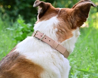 Hell Rosa Lederhalsband für Hunde und Katzen, Leder Haustier Choker, Klassisches Welpen-Halsband