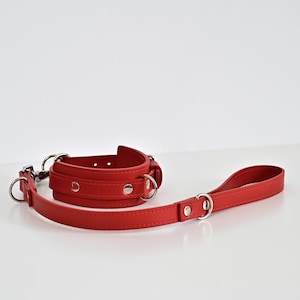 May include: A red leather collar with a matching leash. The collar has a padded design and is secured with silver-toned metal hardware. The leash features a loop handle and a metal clasp.