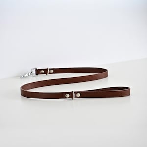 Op de afbeelding: Een bruine leren hondenriem met een zilverkleurige metalen sluiting en hardware. De riem is gemaakt van een dun, duurzaam materiaal en heeft een lusvormige handgreep. Het ontwerp is eenvoudig en elegant.