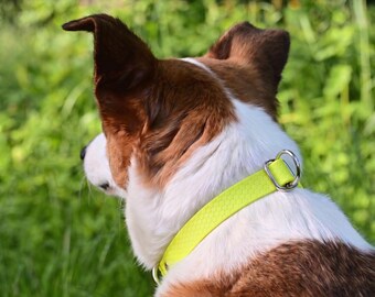 Gelbes wasserdichtes Gurtband Halsband für Hunde und Katzen, Biothane Neon Halsband