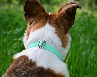 Mint Wasserdichtes Gurtbandhalsband für Hunde und Katzen, Biothane Green Collar