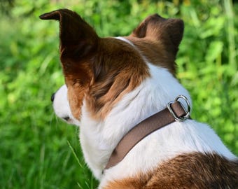 Braunes wasserdichtes Gurtband für Hunde und Katzen, Biothane Hundehalsband